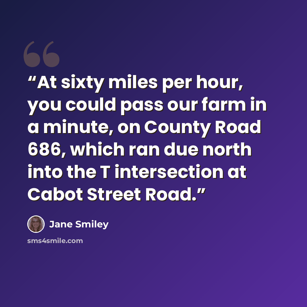 “At sixty miles per hour, you could pass our farm in a minute, on County Road 686, which ran due north into the T intersection at Cabot Street Road.” quote by Jane Smiley