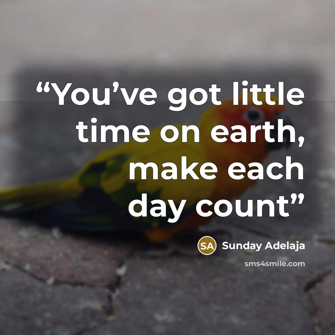 “You’ve got little time on earth, make each day count” quote by Sunday Adelaja