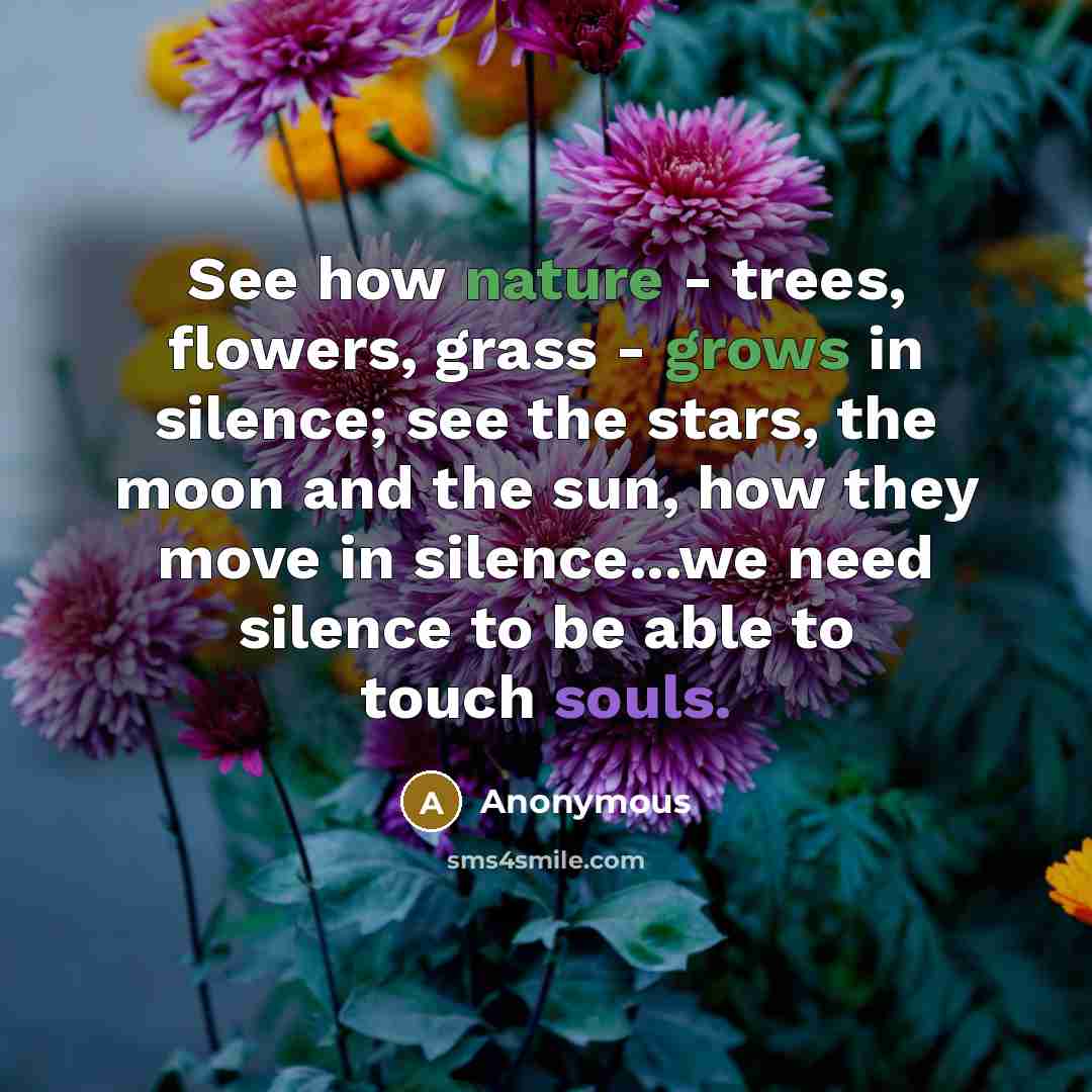 “See how nature - trees, flowers, grass - grows in silence; see the stars, the moon and the sun, how they move in silence...we need silence to be able to touch souls.” quote by Anonymous