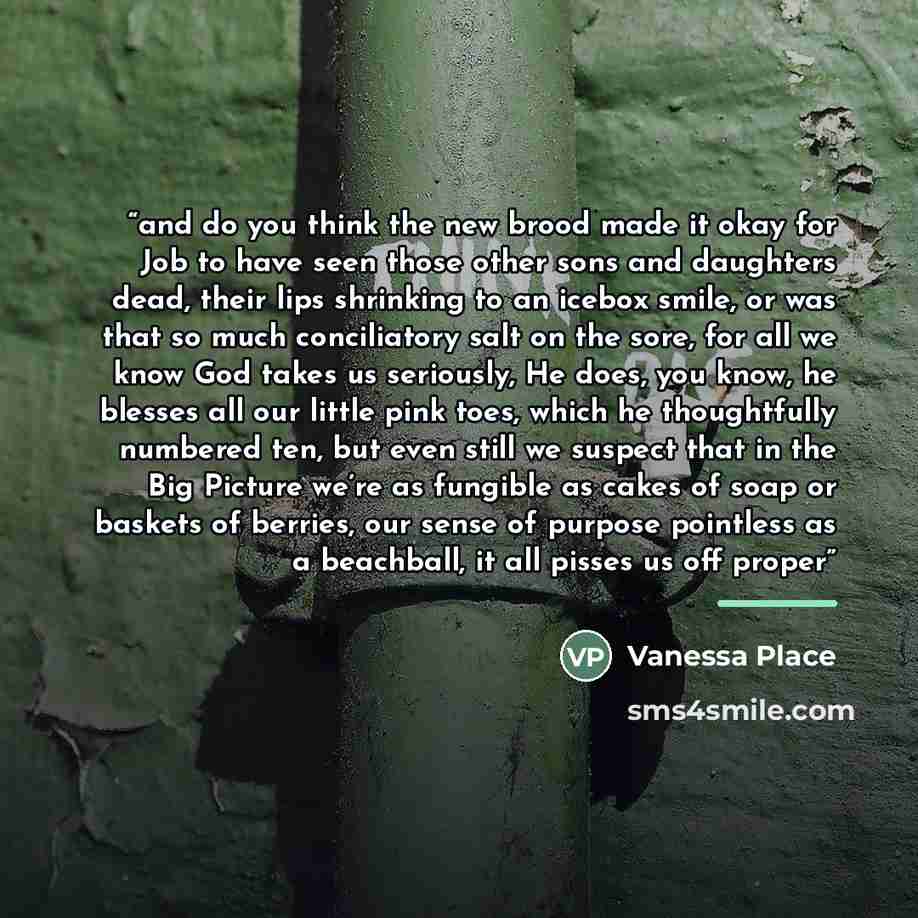 “and do you think the new brood made it okay for Job to have seen those other sons and daughters dead, their lips shrinking to an icebox smile, or was that so much conciliatory salt on the sore, for all we know God takes us seriously, He does, you know, he blesses all our little pink toes, which he…” quote by Vanessa Place