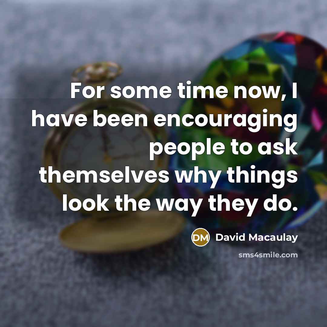 “For some time now, I have been encouraging people to ask themselves why things look the way they do.” quote by David Macaulay
