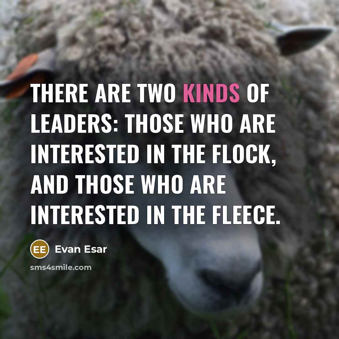 “There are two kinds of leaders: those who are interested in the flock, and those who are interested in the fleece.” quote by Evan Esar