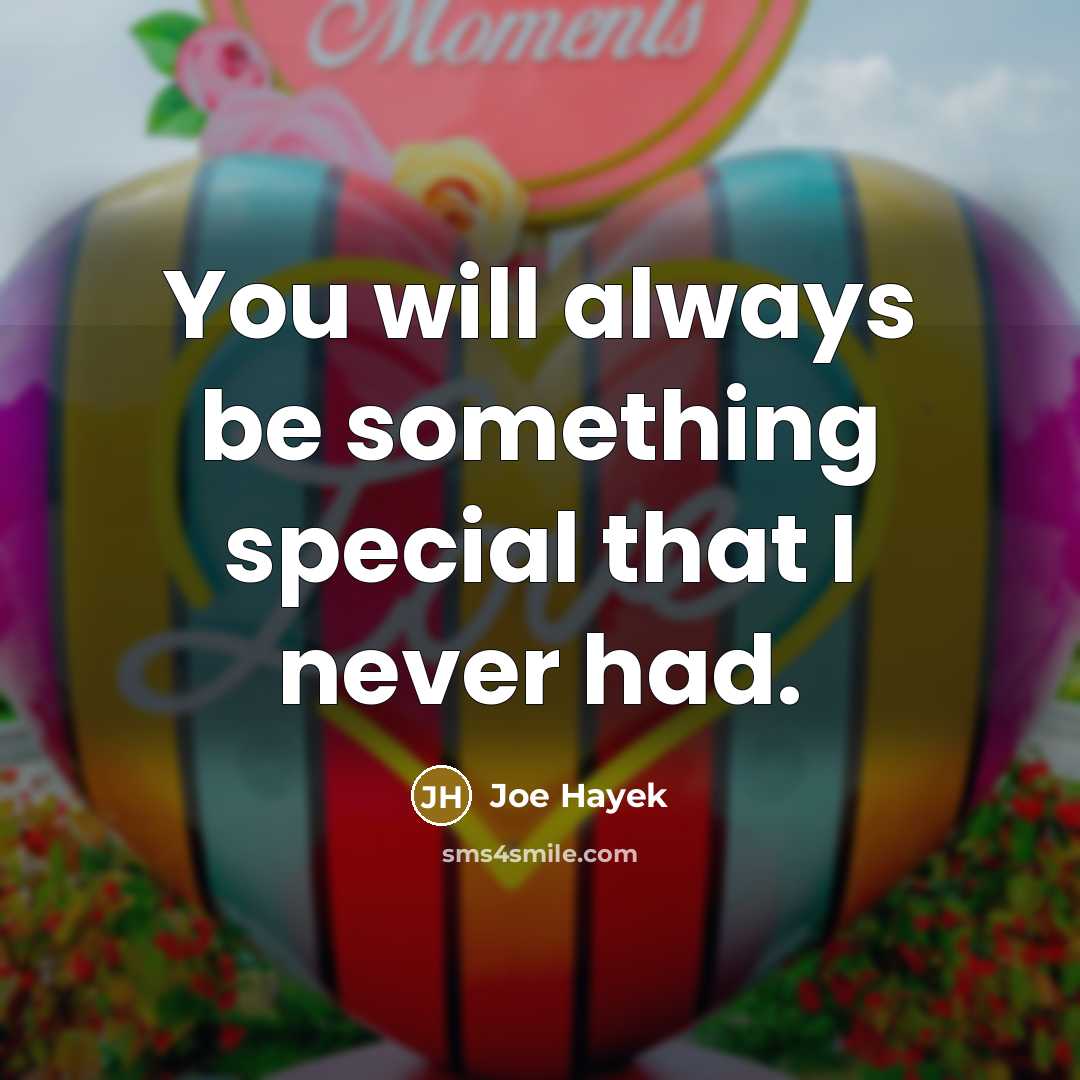 “You will always be something special that I never had.” quote by Joe Hayek