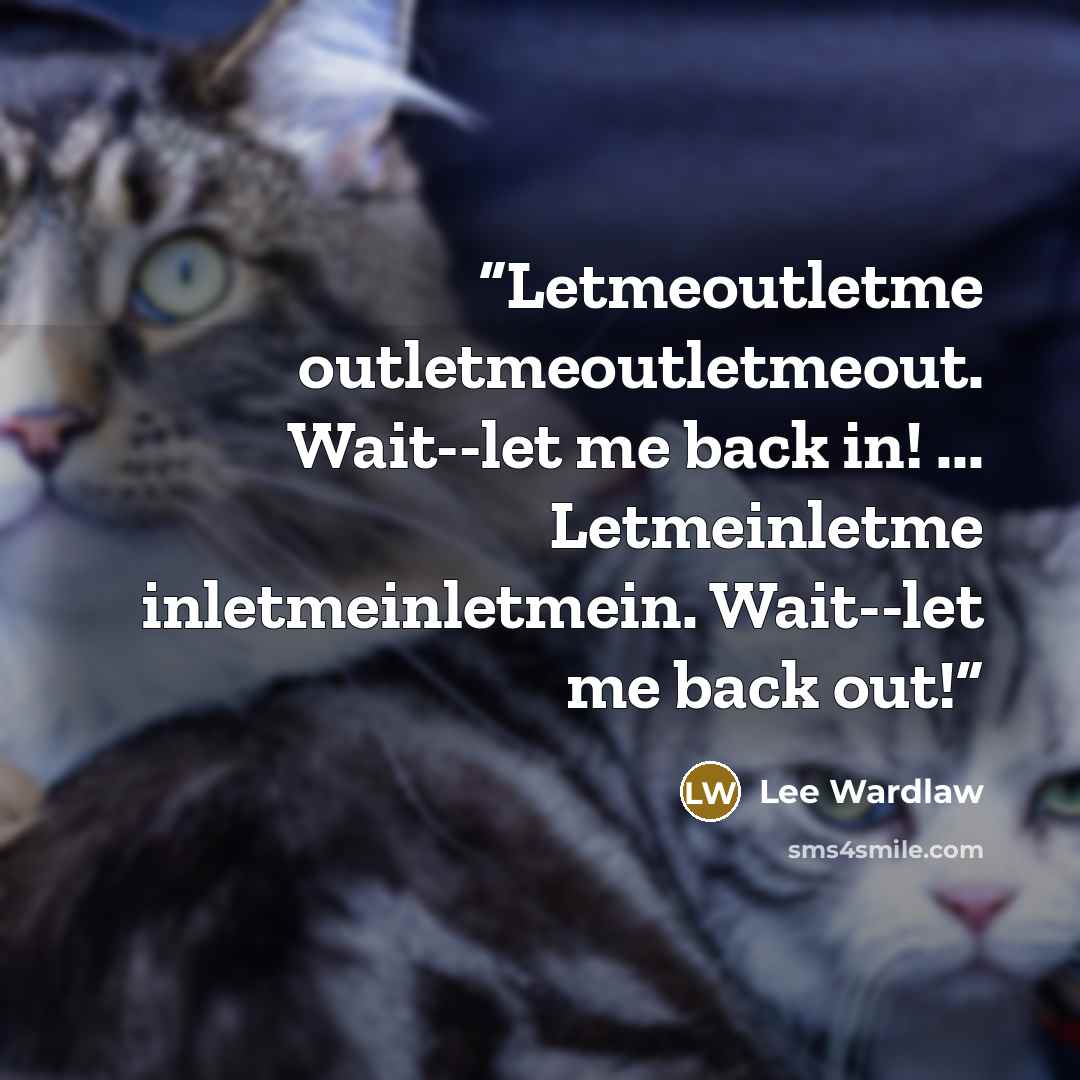 “Letmeoutletme outletmeoutletmeout. Wait--let me back in! ... Letmeinletme inletmeinletmein. Wait--let me back out!” quote by Lee Wardlaw