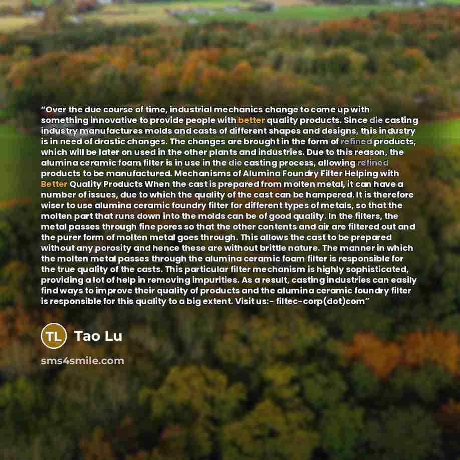 “Over the due course of time, industrial mechanics change to come up with something innovative to provide people with better quality products. Since die casting industry manufactures molds and casts of different shapes and designs, this industry is in need of drastic changes. The changes are…” quote by Tao Lu