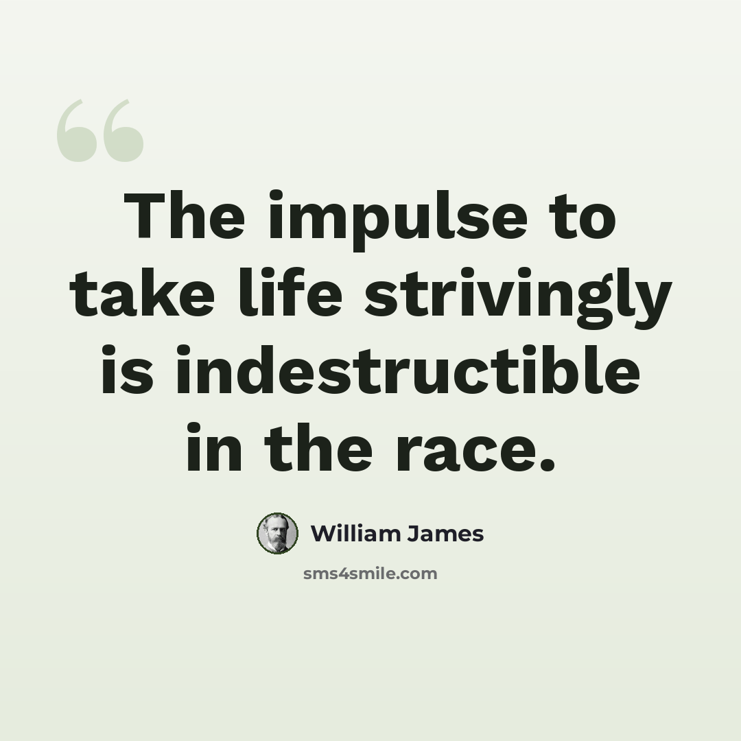 “The impulse to take life strivingly is indestructible in the race.” quote by William James