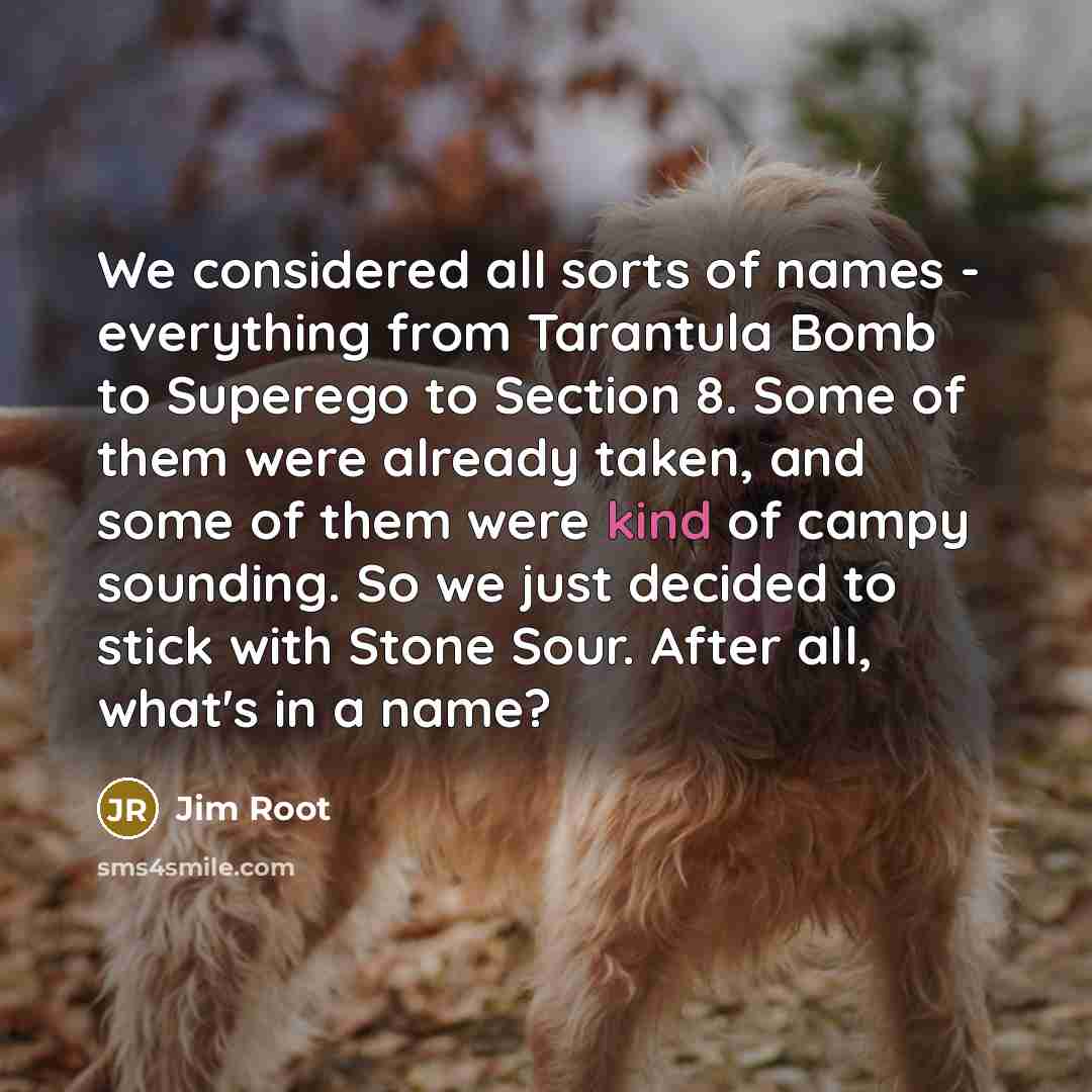 “We considered all sorts of names - everything from Tarantula Bomb to Superego to Section 8. Some of them were already taken, and some of them were kind of campy sounding. So we just decided to stick with Stone Sour. After all, what's in a name?” quote by Jim Root