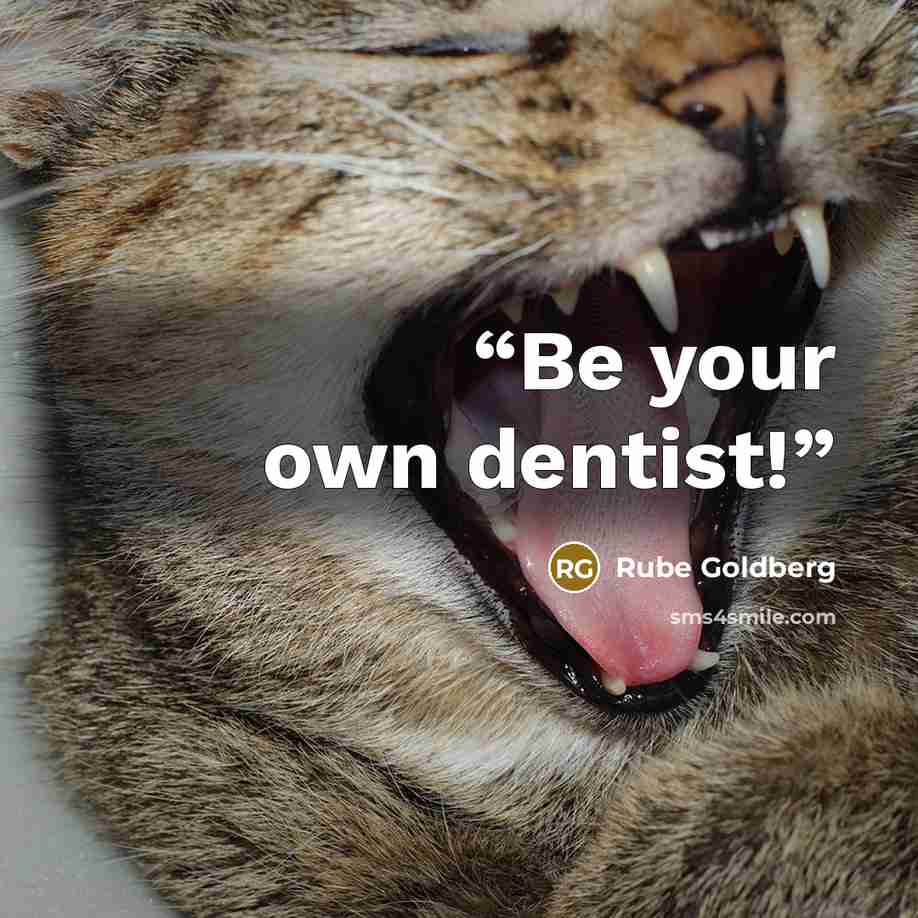 “Be your own dentist!” quote by Rube Goldberg