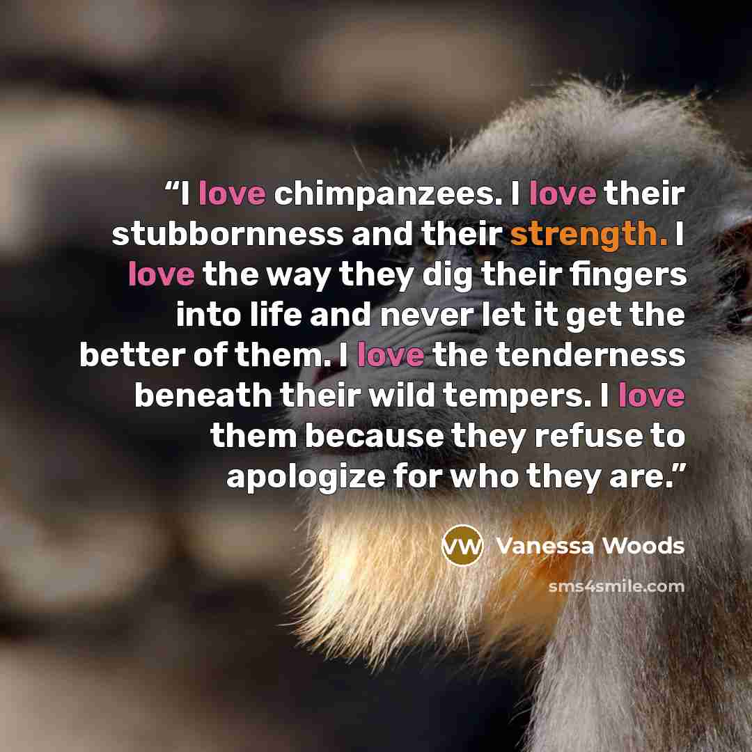 “I love chimpanzees. I love their stubbornness and their strength. I love the way they dig their fingers into life and never let it get the better of them. I love the tenderness beneath their wild tempers. I love them because they refuse to apologize for who they are.” quote by Vanessa Woods