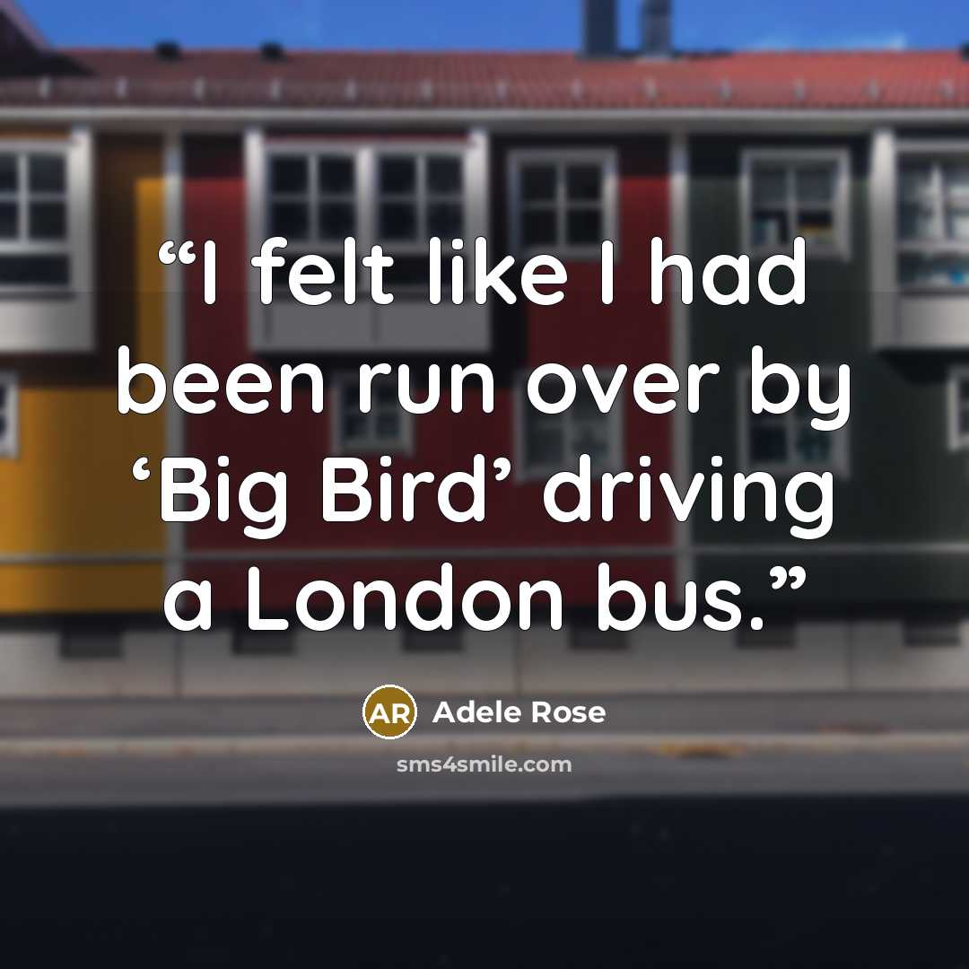 “I felt like I had been run over by ‘Big Bird’ driving a London bus.” quote by Adele Rose