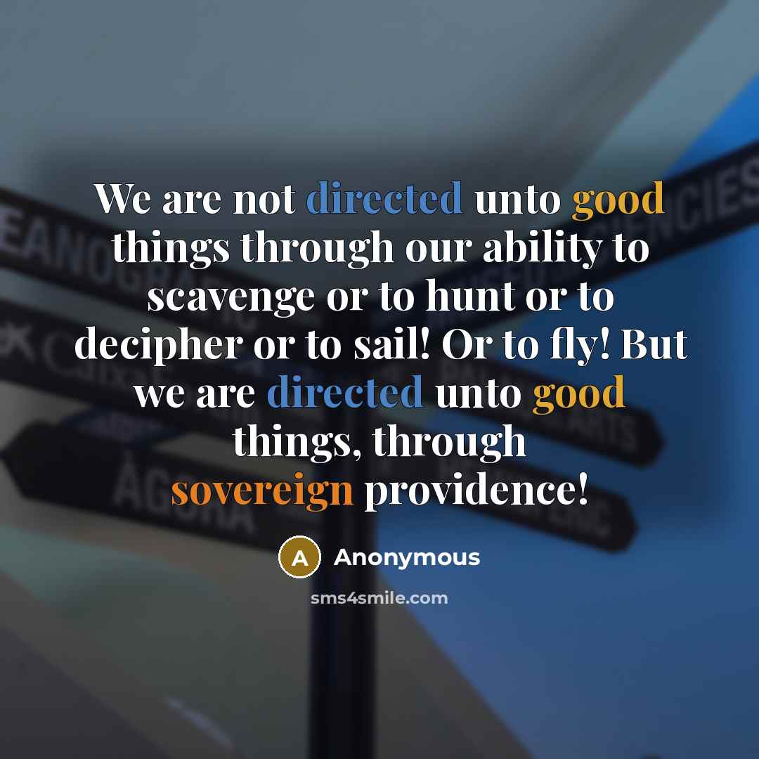 “We are not directed unto good things through our ability to scavenge or to hunt or to decipher or to sail! Or to fly! But we are directed unto good things, through sovereign providence!” quote by Anonymous