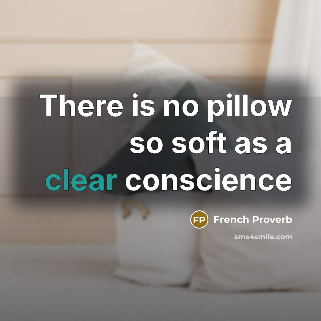 “There is no pillow so soft as a clear conscience” quote by French Proverb