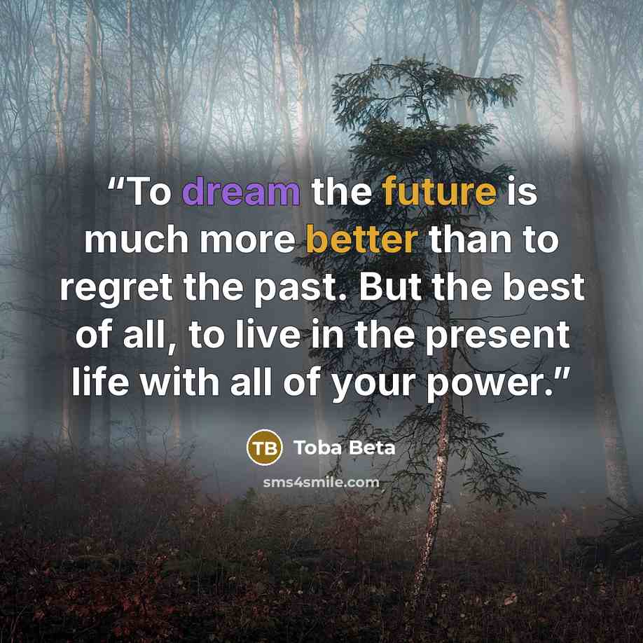 “To dream the future is much more better than to regret the past. But the best of all, to live in the present life with all of your power.” quote by Toba Beta