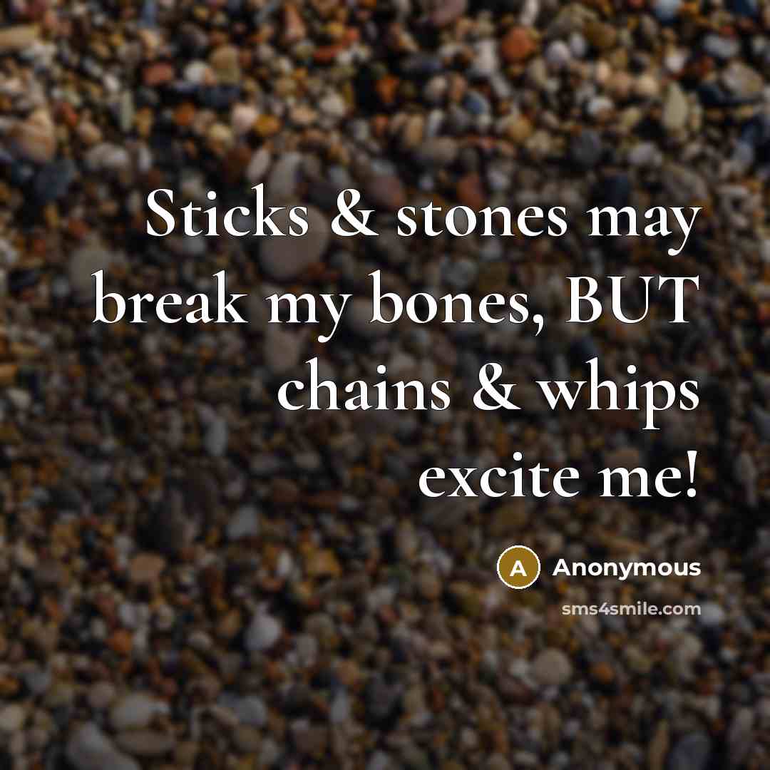 “Sticks & stones may break my bones, BUT chains & whips excite me!” quote by Anonymous