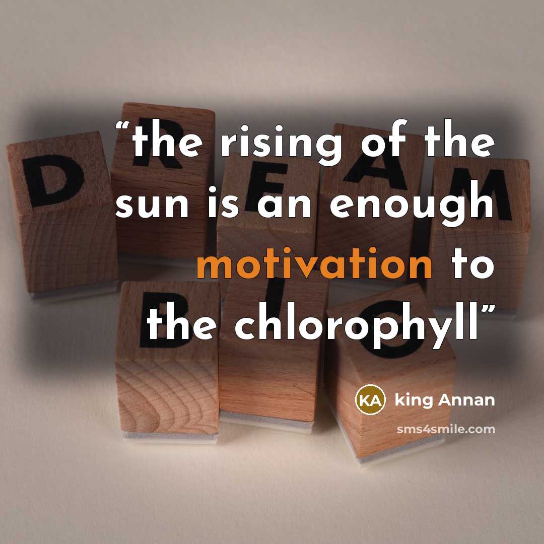 “the rising of the sun is an enough motivation to the chlorophyll” quote by king Annan