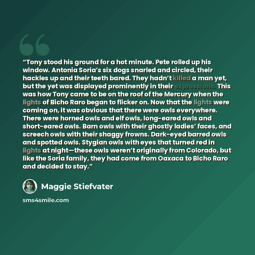 “Tony stood his ground for a hot minute. Pete rolled up his window. Antonia Soria’s six dogs snarled and circled, their hackles up and their teeth bared. They hadn’t killed a man yet, but the yet was displayed prominently in their expressions. This was how Tony came to be on the roof of the Mercury…” quote by Maggie Stiefvater