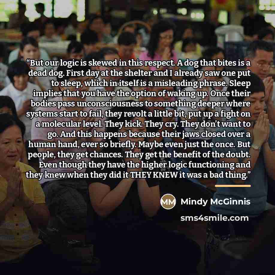 “But our logic is skewed in this respect. A dog that bites is a dead dog. First day at the shelter and I already saw one put to sleep, which in itself is a misleading phrase. Sleep implies that you have the option of waking up. Once their bodies pass unconsciousness to something deeper where…” quote by Mindy McGinnis
