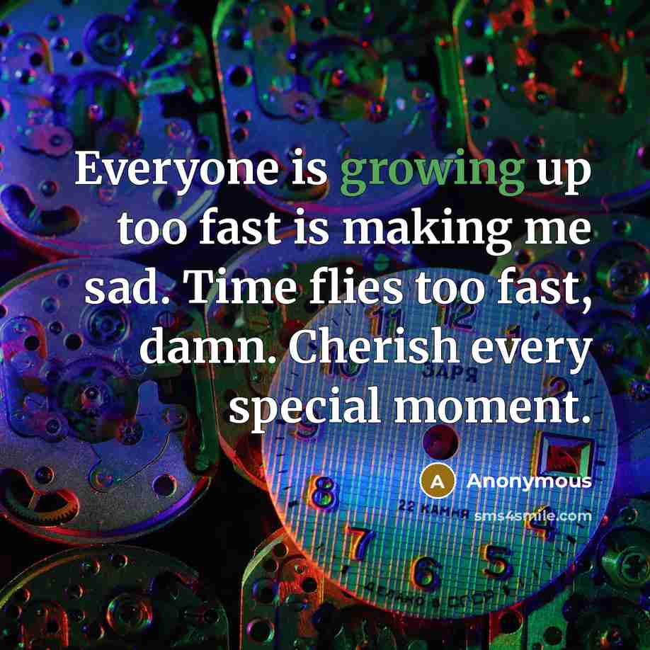 “Everyone is growing up too fast is making me sad. Time flies too fast, damn. Cherish every special moment.” quote by Anonymous