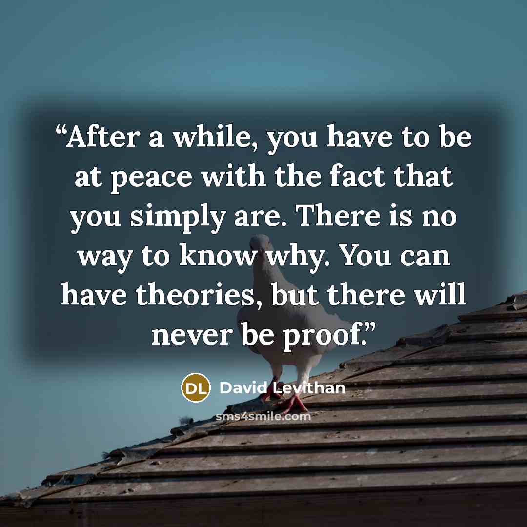 “After a while, you have to be at peace with the fact that you simply are. There is no way to know why. You can have theories, but there will never be proof.” quote by David Levithan