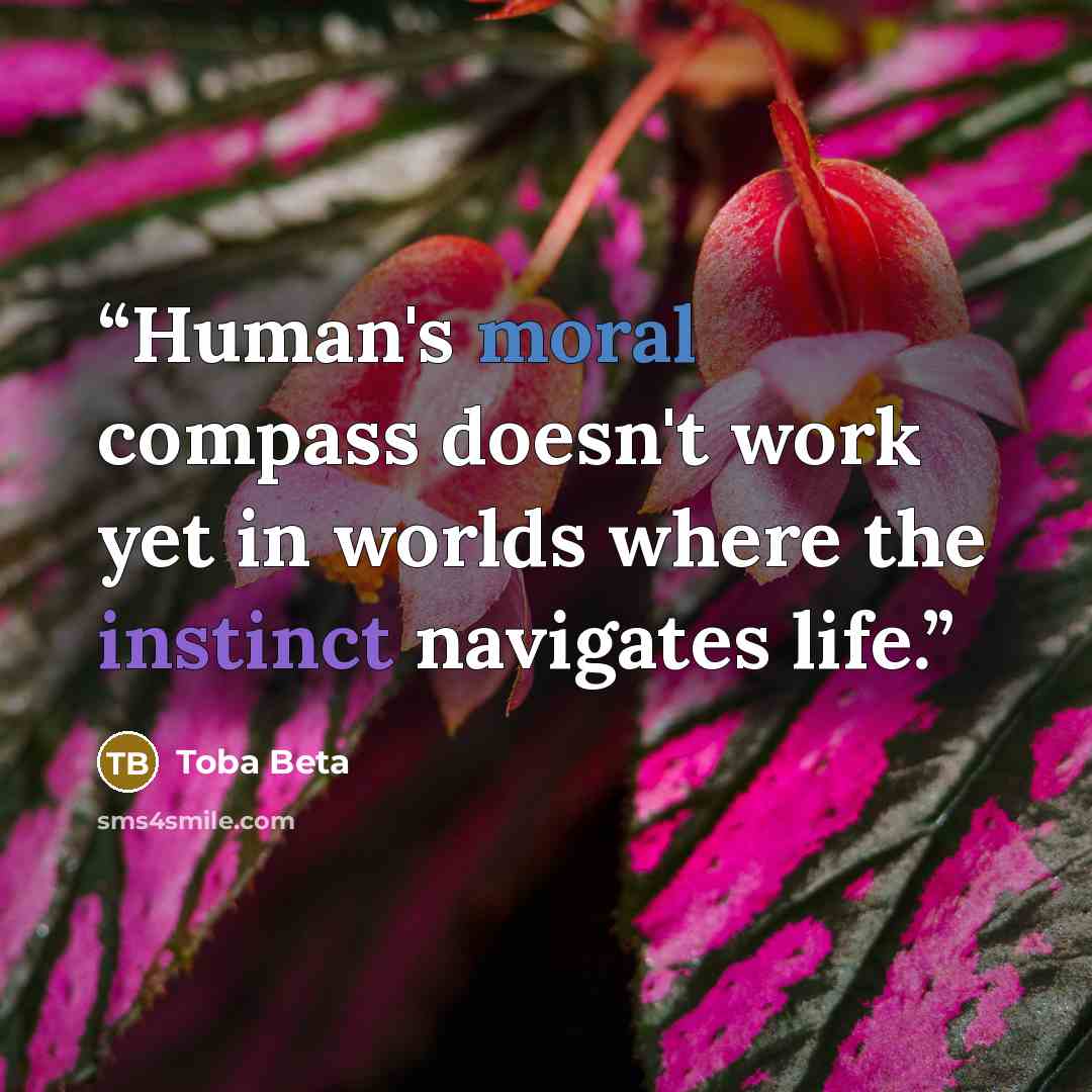 “Human's moral compass doesn't work yet in worlds where the instinct navigates life.” quote by Toba Beta