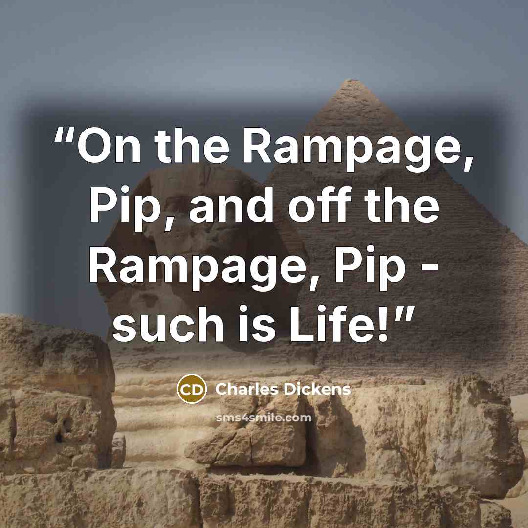 “On the Rampage, Pip, and off the Rampage, Pip - such is Life!” quote by Charles Dickens