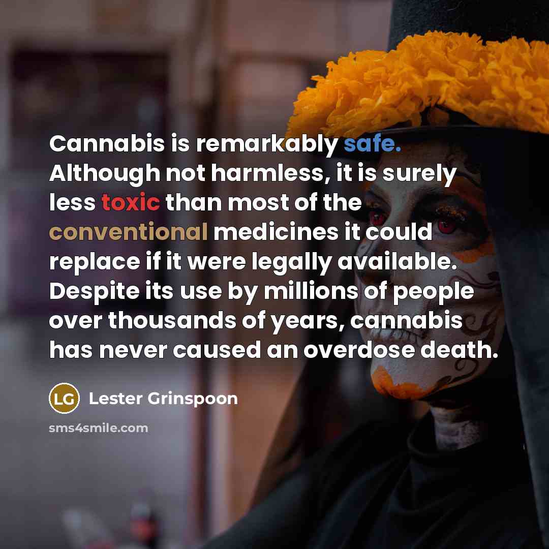 “Cannabis is remarkably safe. Although not harmless, it is surely less toxic than most of the conventional medicines it could replace if it were legally available. Despite its use by millions of people over thousands of years, cannabis has never caused an overdose death.” quote by Lester Grinspoon