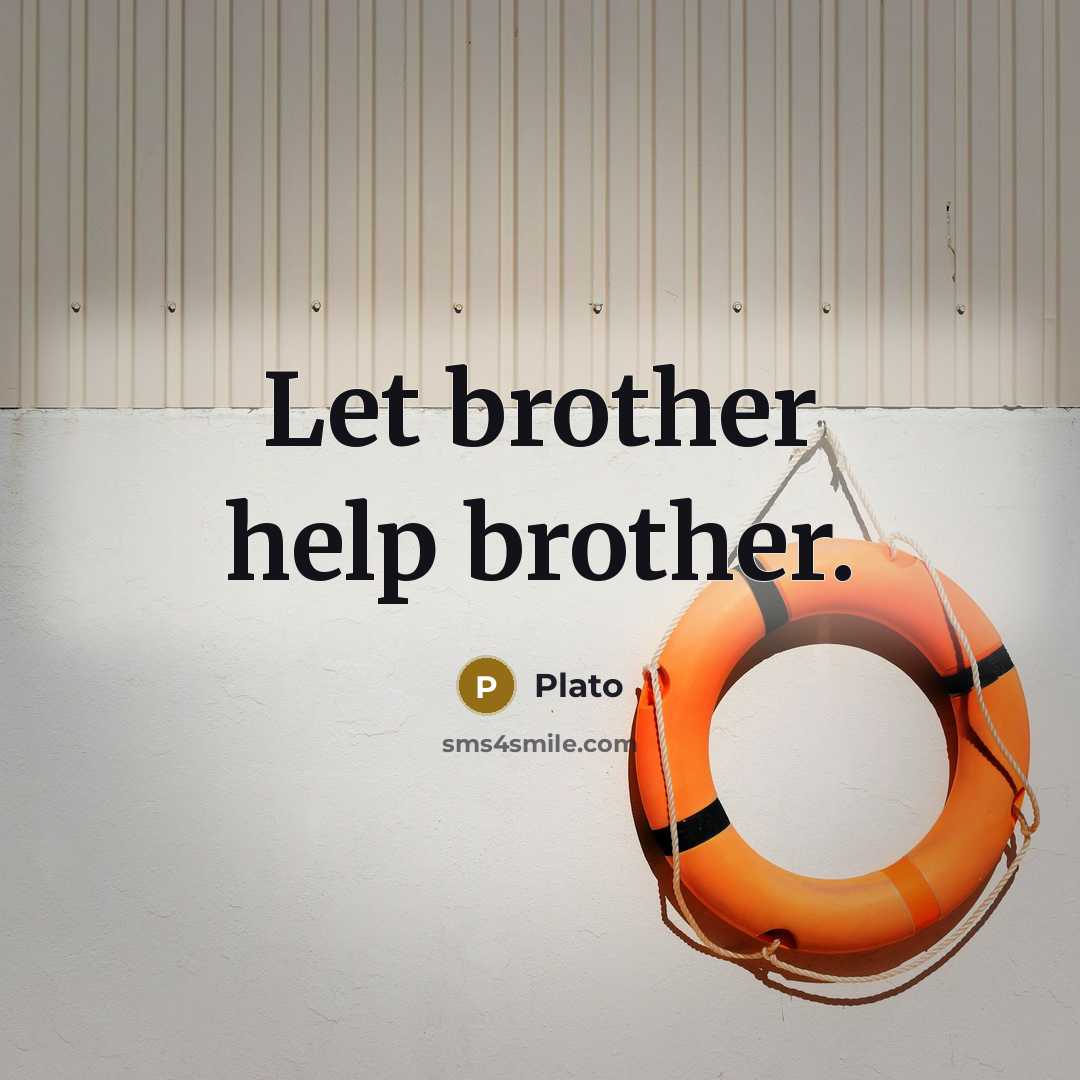 “Let brother help brother.” quote by Plato