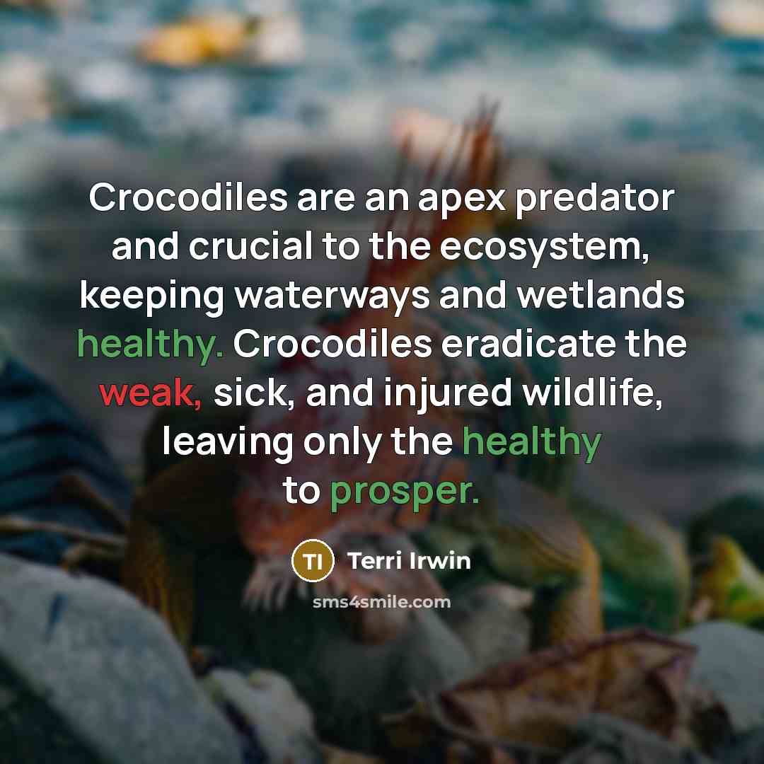“Crocodiles are an apex predator and crucial to the ecosystem, keeping waterways and wetlands healthy. Crocodiles eradicate the weak, sick, and injured wildlife, leaving only the healthy to prosper.” quote by Terri Irwin
