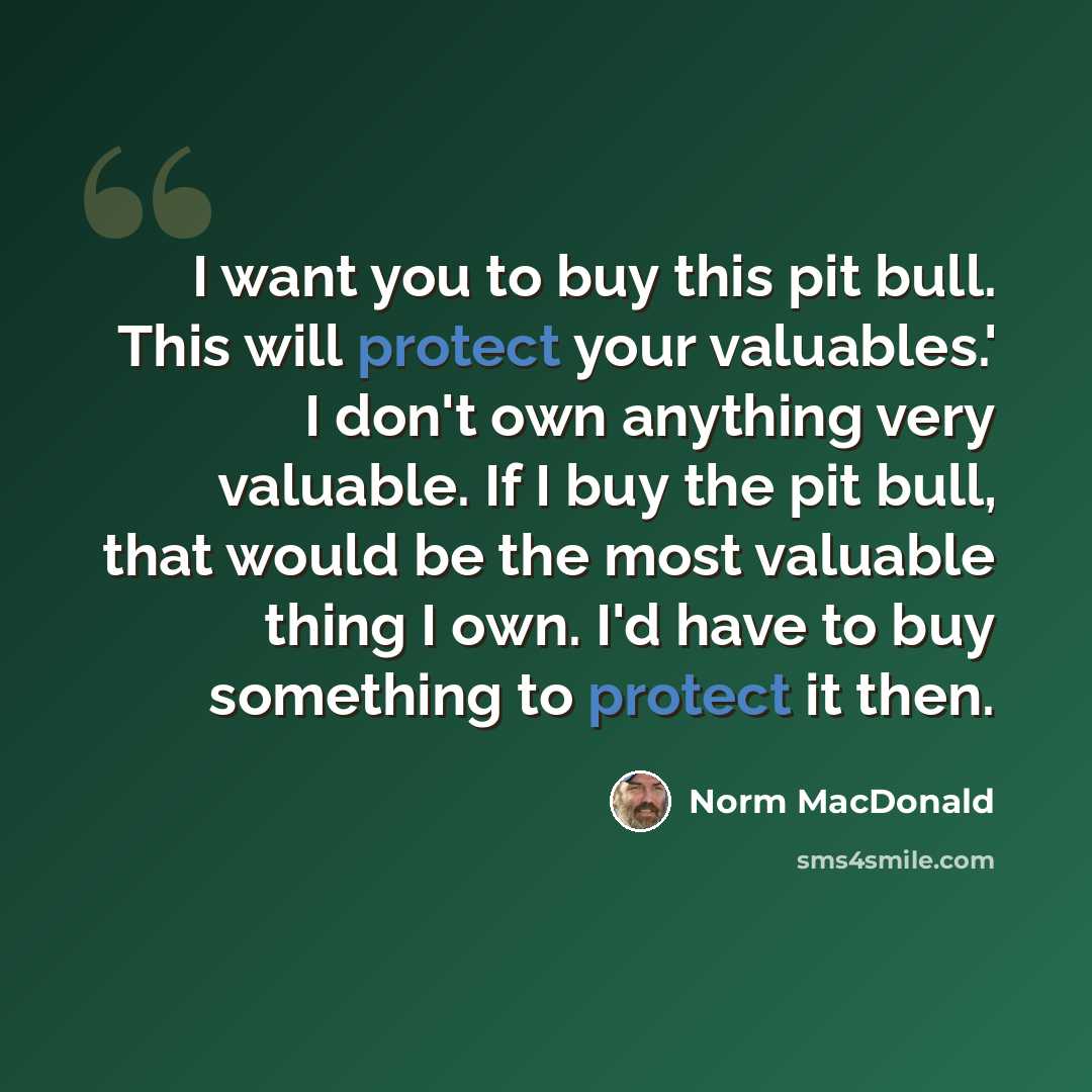 “I want you to buy this pit bull. This will protect your valuables.' I don't own anything very valuable. If I buy the pit bull, that would be the most valuable thing I own. I'd have to buy something to protect it then.” quote by Norm MacDonald