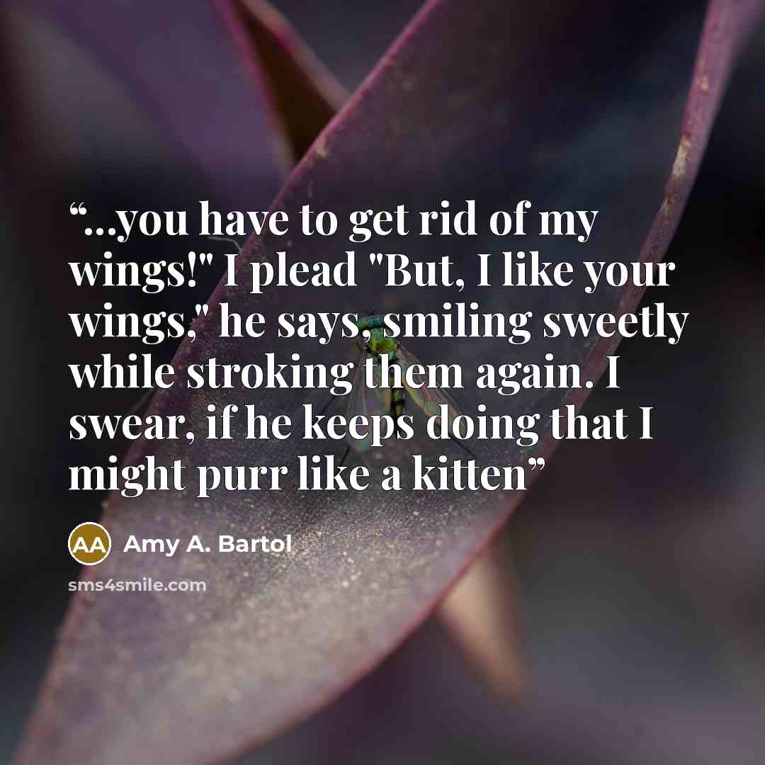 “...you have to get rid of my wings!" I plead "But, I like your wings," he says, smiling sweetly while stroking them again. I swear, if he keeps doing that I might purr like a kitten” quote by Amy A. Bartol