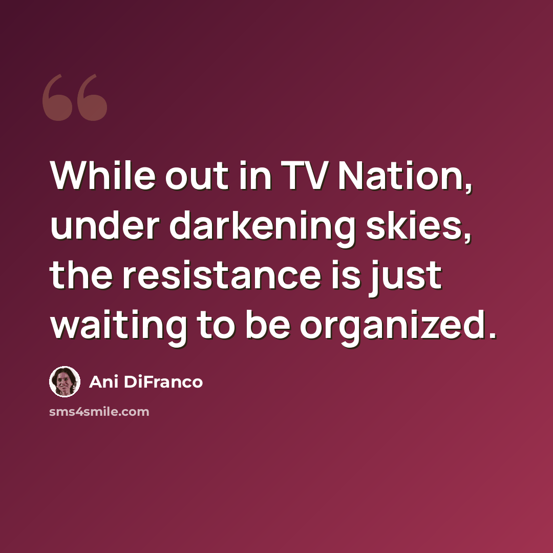 “While out in TV Nation, under darkening skies, the resistance is just waiting to be organized.” quote by Ani DiFranco