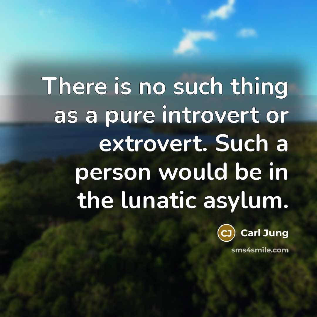“There is no such thing as a pure introvert or extrovert. Such a person would be in the lunatic asylum.” quote by Carl Jung