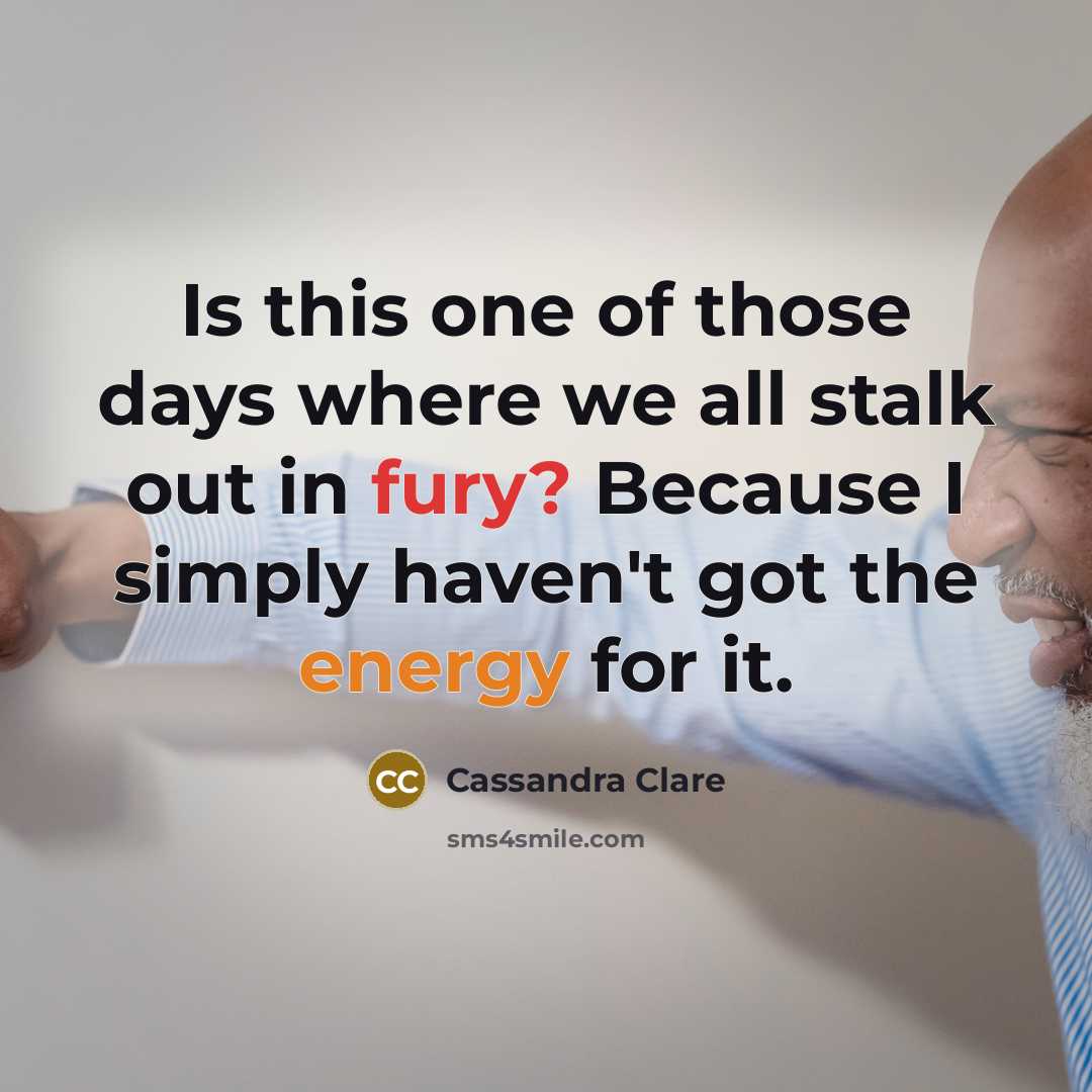 “Is this one of those days where we all stalk out in fury? Because I simply haven't got the energy for it.” quote by Cassandra Clare