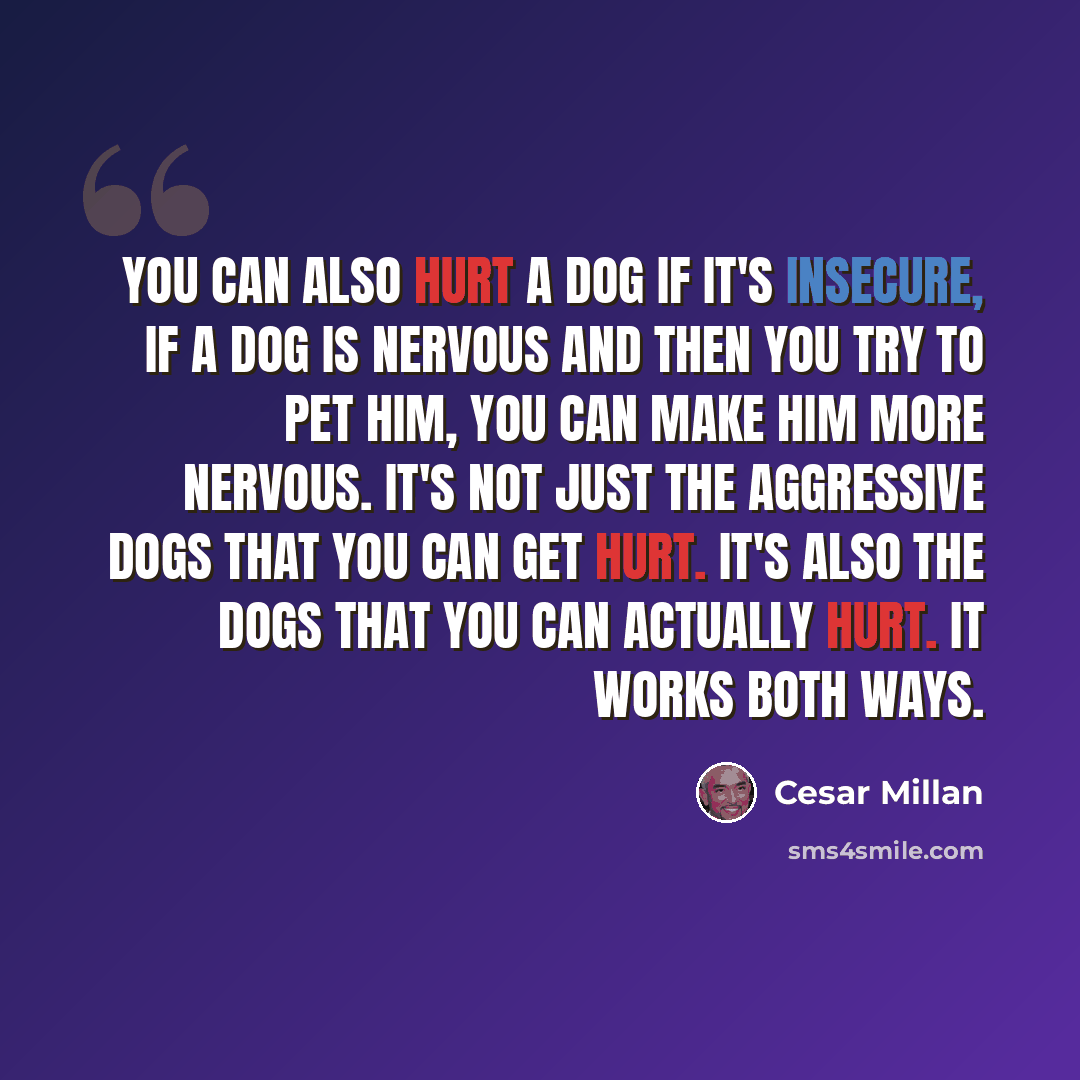 “You can also hurt a dog if it's insecure, if a dog is nervous and then you try to pet him, you can make him more nervous. It's not just the aggressive dogs that you can get hurt. It's also the dogs that you can actually hurt. It works both ways.” quote by Cesar Millan
