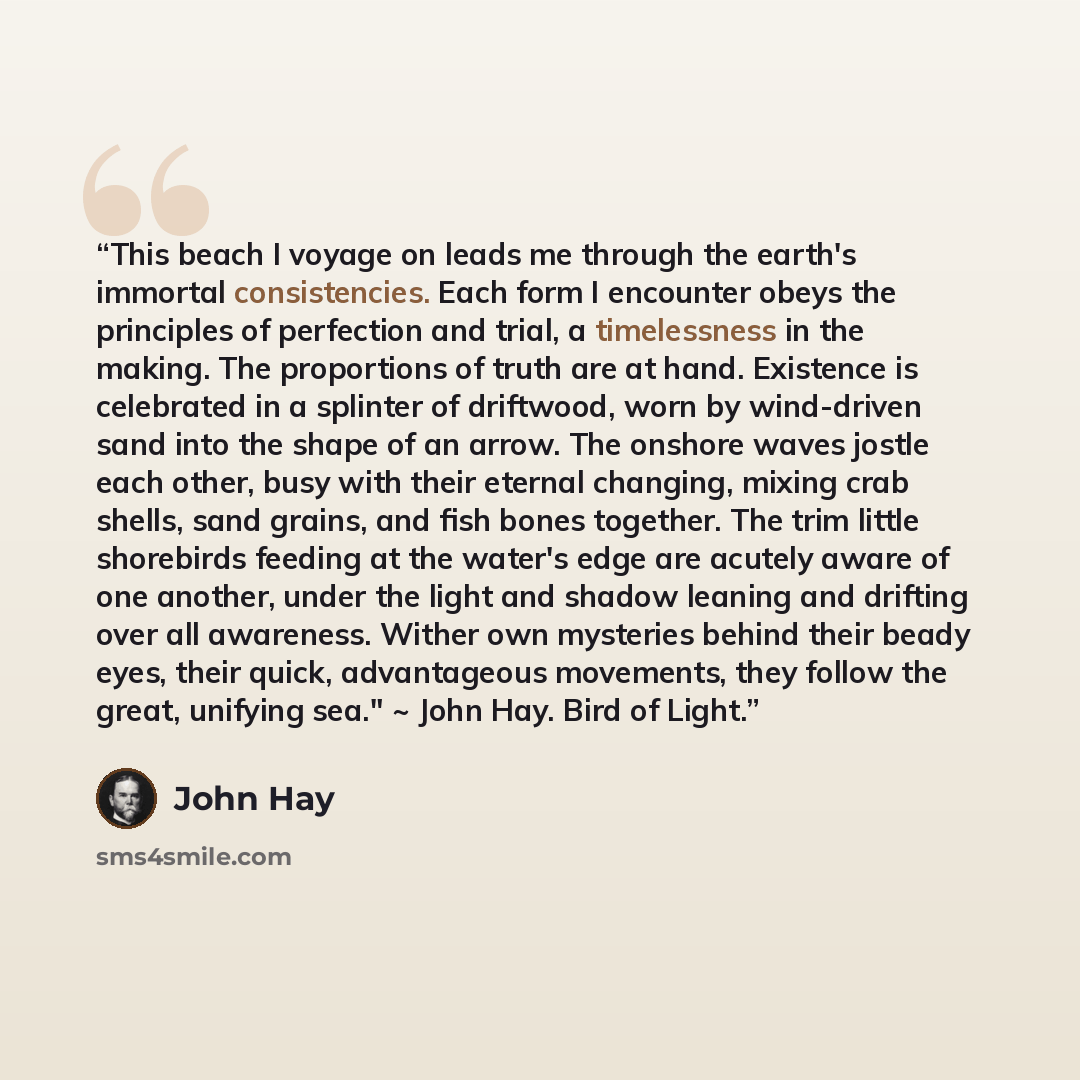 “This beach I voyage on leads me through the earth's immortal consistencies. Each form I encounter obeys the principles of perfection and trial, a timelessness in the making. The proportions of truth are at hand. Existence is celebrated in a splinter of driftwood, worn by wind-driven sand into the…” quote by John Hay
