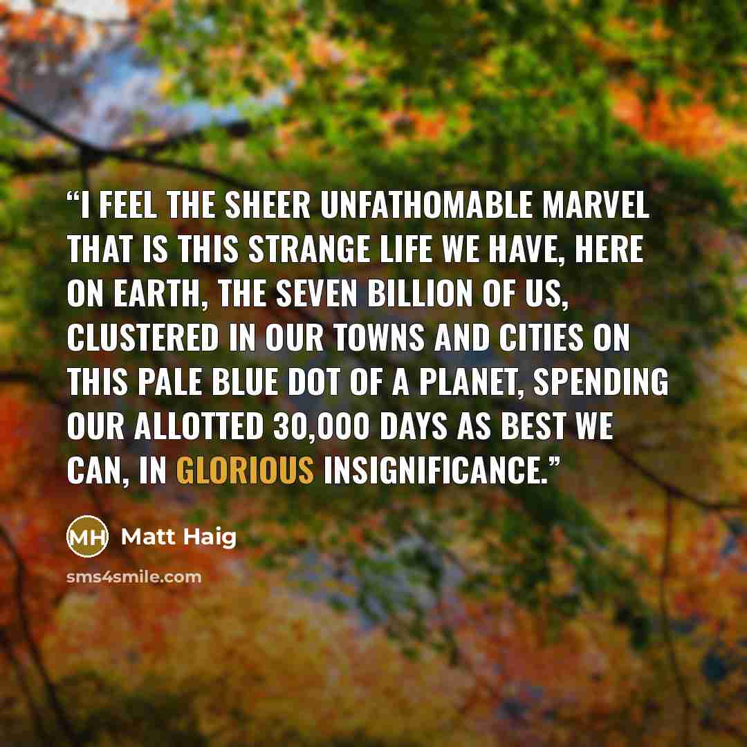 “I feel the sheer unfathomable marvel that is this strange life we have, here on earth, the seven billion of us, clustered in our towns and cities on this pale blue dot of a planet, spending our allotted 30,000 days as best we can, in glorious insignificance.” quote by Matt Haig