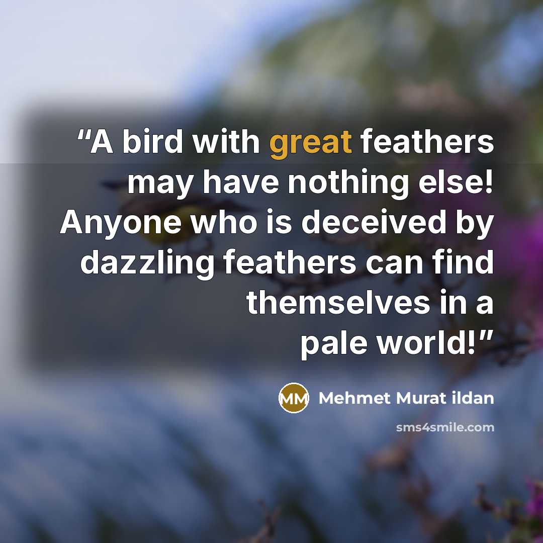 “A bird with great feathers may have nothing else! Anyone who is deceived by dazzling feathers can find themselves in a pale world!” quote by Mehmet Murat ildan