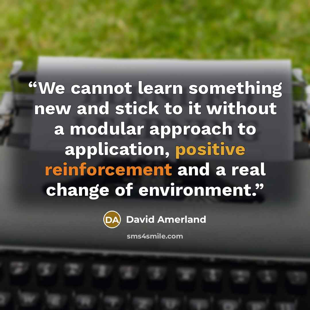 “We cannot learn something new and stick to it without a modular approach to application, positive reinforcement and a real change of environment.” quote by David Amerland