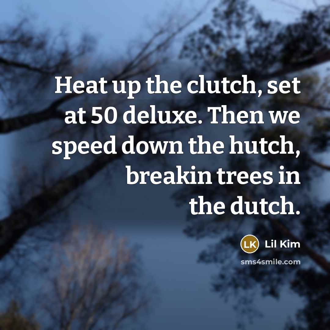 “Heat up the clutch, set at 50 deluxe. Then we speed down the hutch, breakin trees in the dutch.” quote by Lil Kim