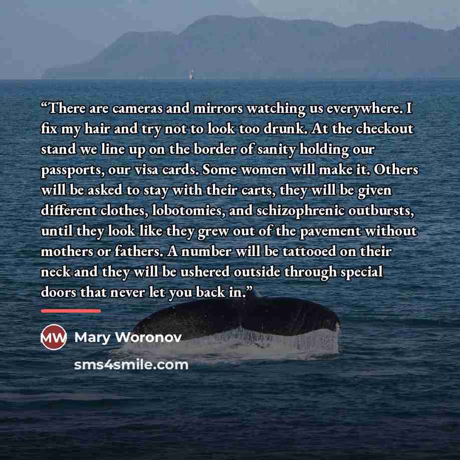 “There are cameras and mirrors watching us everywhere. I fix my hair and try not to look too drunk. At the checkout stand we line up on the border of sanity holding our passports, our visa cards. Some women will make it. Others will be asked to stay with their carts, they will be given different…” quote by Mary Woronov