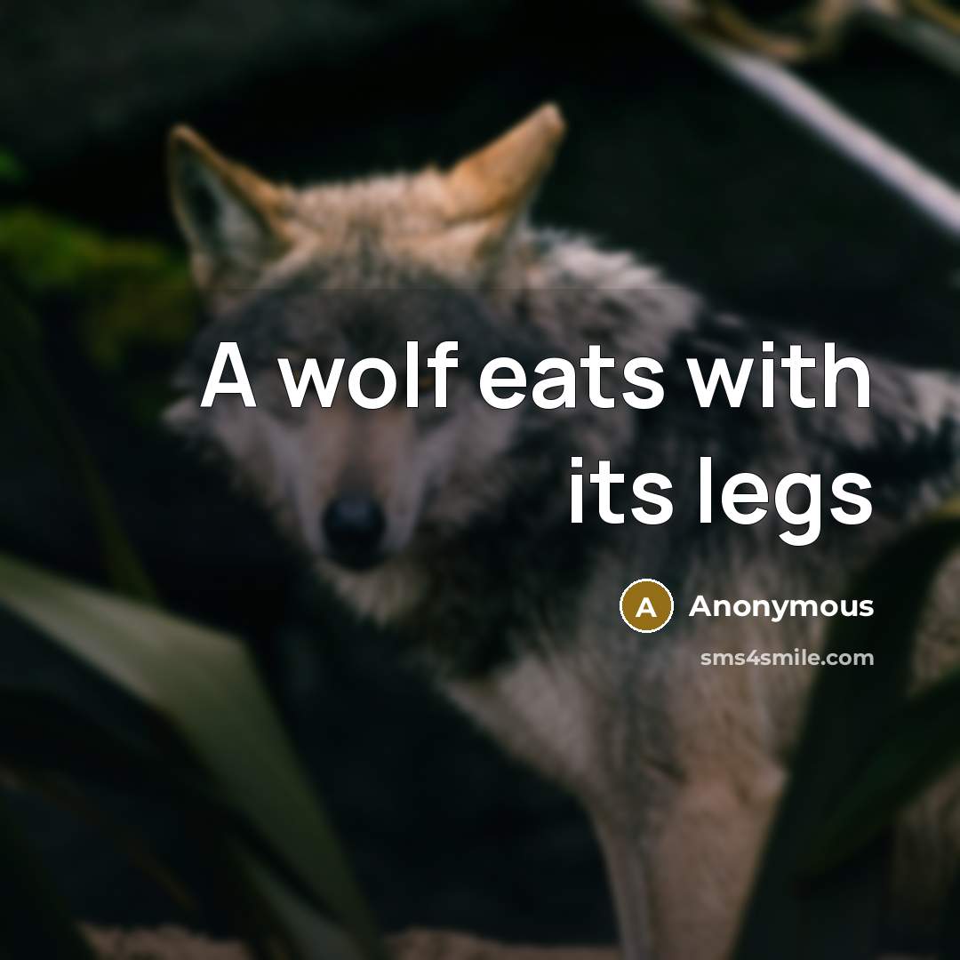 “A wolf eats with its legs” quote by Anonymous