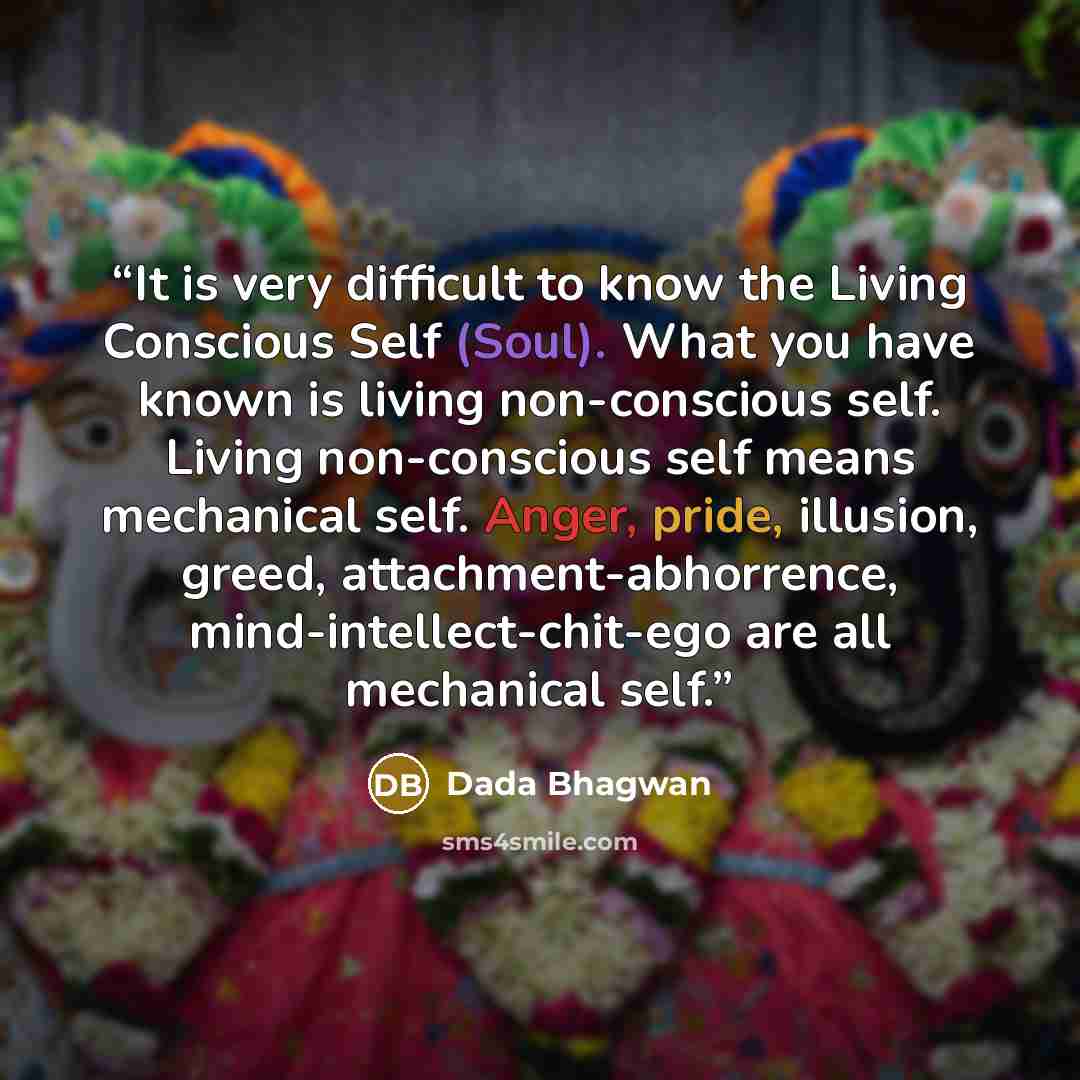 “It is very difficult to know the Living Conscious Self (Soul). What you have known is living non-conscious self. Living non-conscious self means mechanical self. Anger, pride, illusion, greed, attachment-abhorrence, mind-intellect-chit-ego are all mechanical self.” quote by Dada Bhagwan