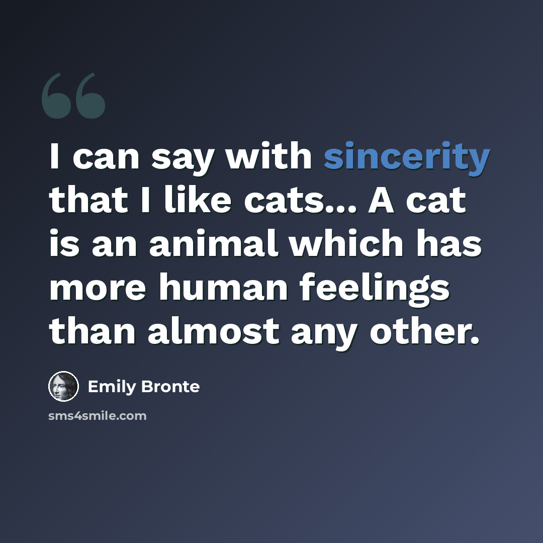 “I can say with sincerity that I like cats... A cat is an animal which has more human feelings than almost any other.” quote by Emily Bronte