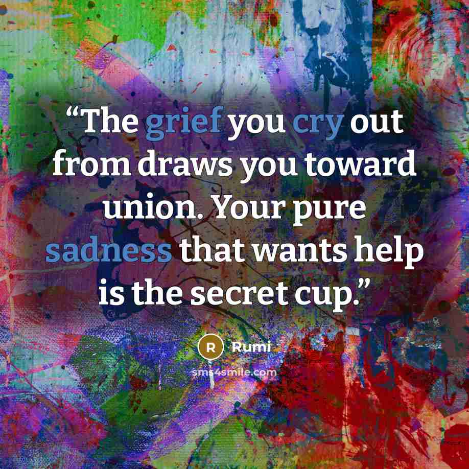 “The grief you cry out from draws you toward union. Your pure sadness that wants help is the secret cup.” quote by Rumi
