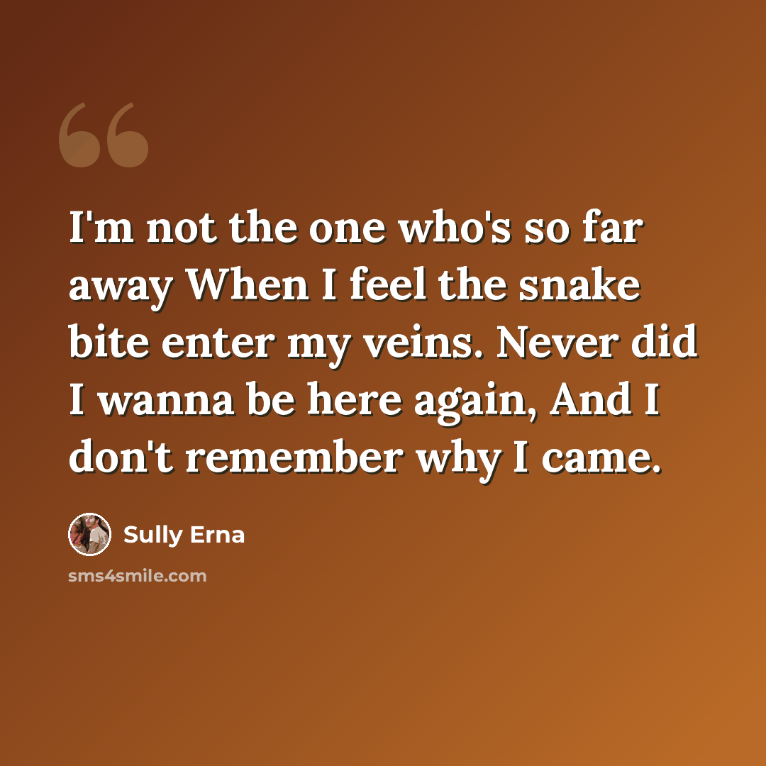 “I'm not the one who's so far away When I feel the snake bite enter my veins. Never did I wanna be here again, And I don't remember why I came.” quote by Sully Erna