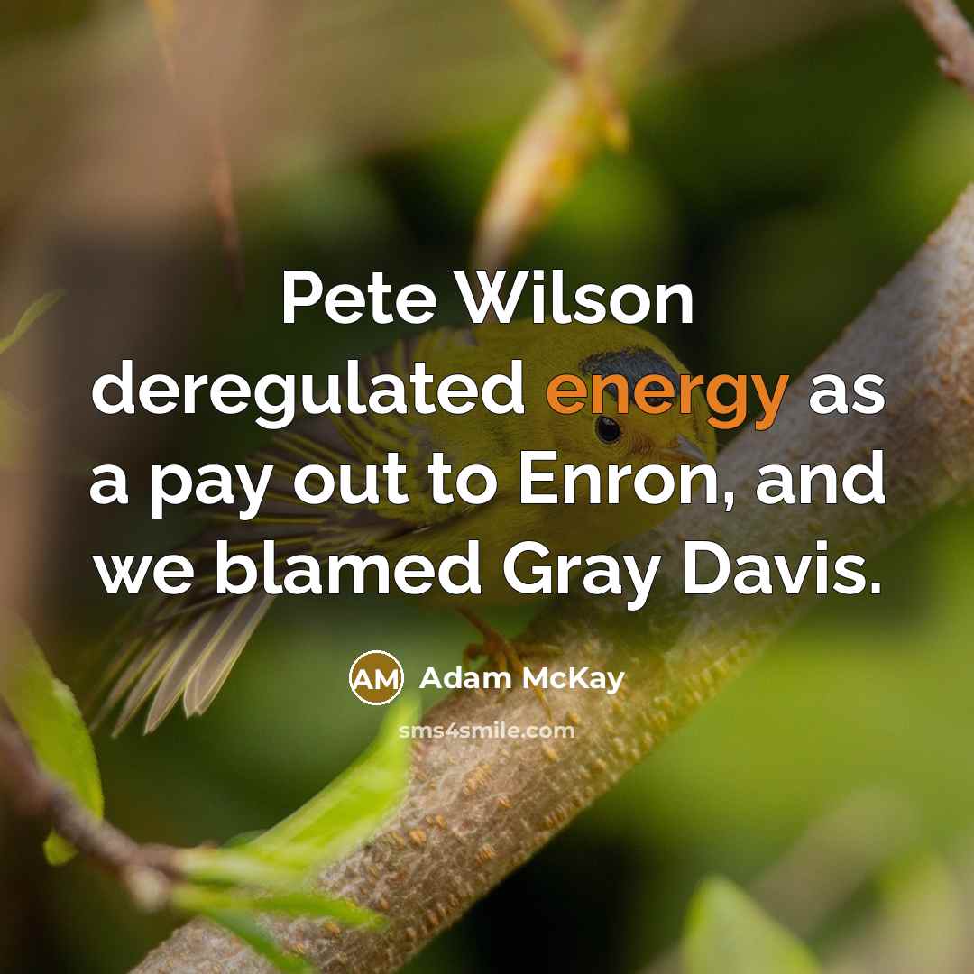 “Pete Wilson deregulated energy as a pay out to Enron, and we blamed Gray Davis.” quote by Adam McKay