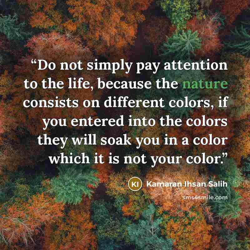 “Do not simply pay attention to the life, because the nature consists on different colors, if you entered into the colors they will soak you in a color which it is not your color.” quote by Kamaran Ihsan Salih