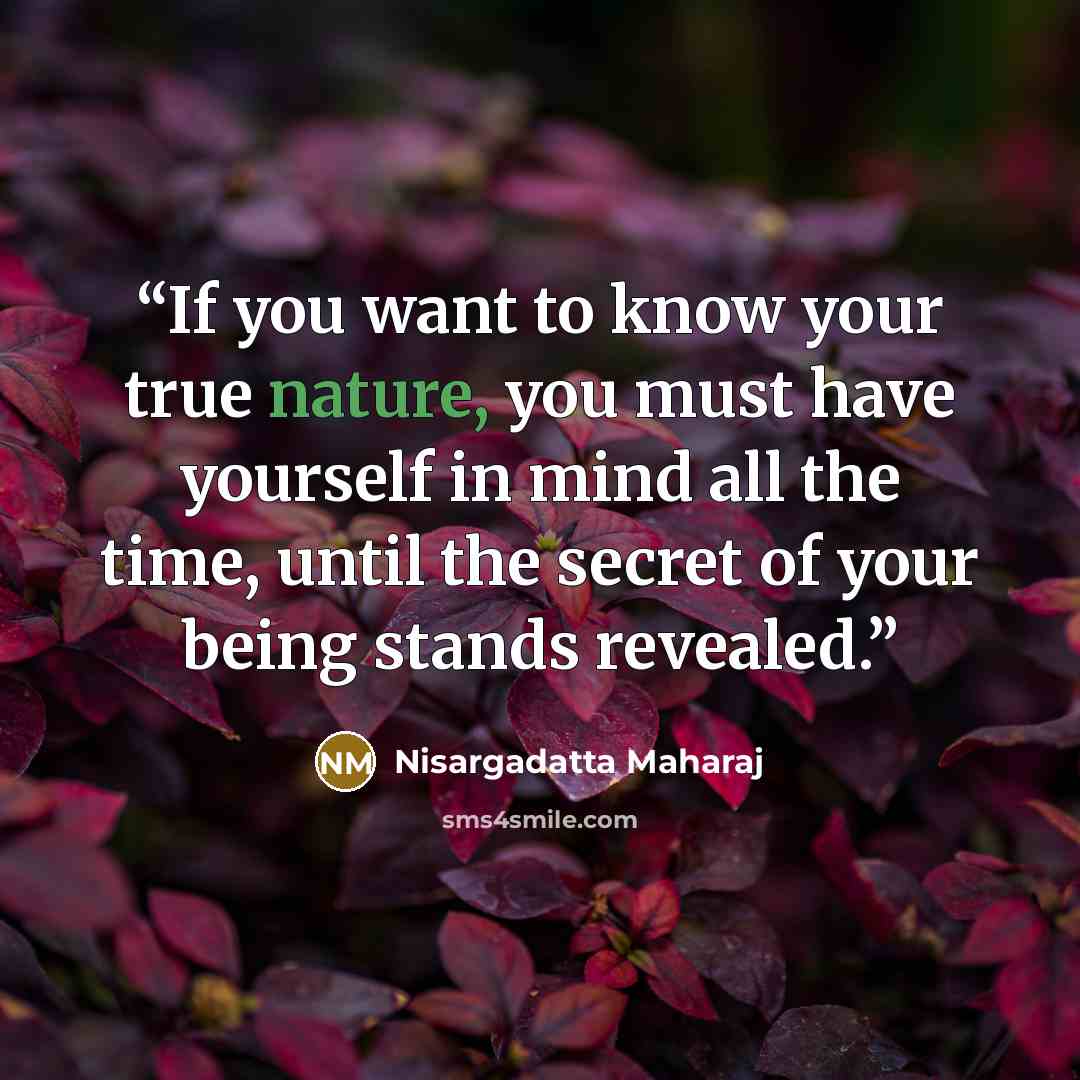 “If you want to know your true nature, you must have yourself in mind all the time, until the secret of your being stands revealed.” quote by Nisargadatta Maharaj