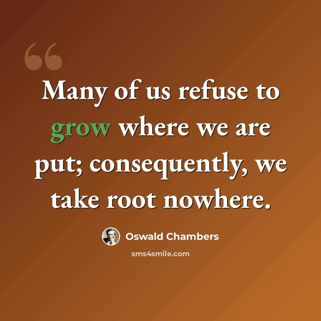 “Many of us refuse to grow where we are put; consequently, we take root nowhere.” quote by Oswald Chambers