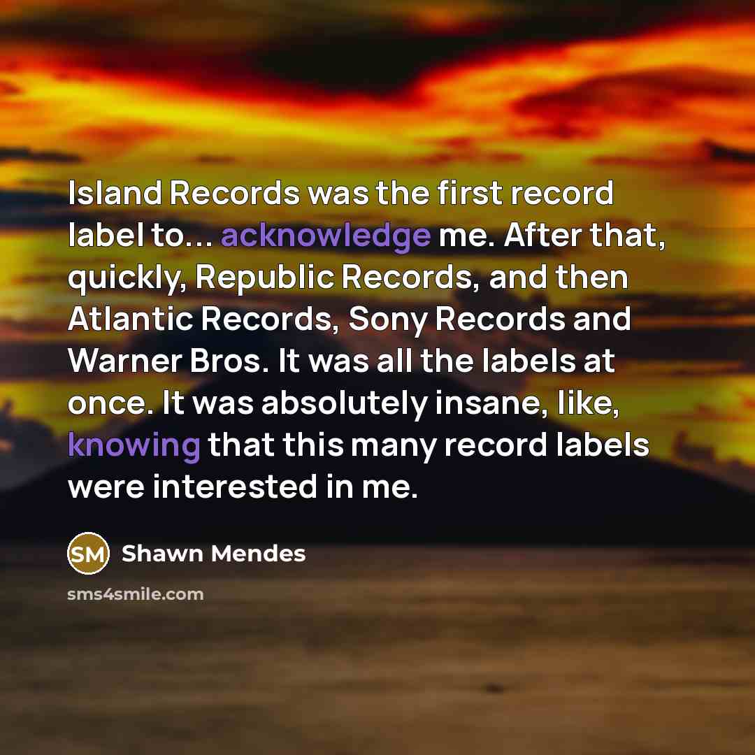 “Island Records was the first record label to... acknowledge me. After that, quickly, Republic Records, and then Atlantic Records, Sony Records and Warner Bros. It was all the labels at once. It was absolutely insane, like, knowing that this many record labels were interested in me.” quote by Shawn Mendes